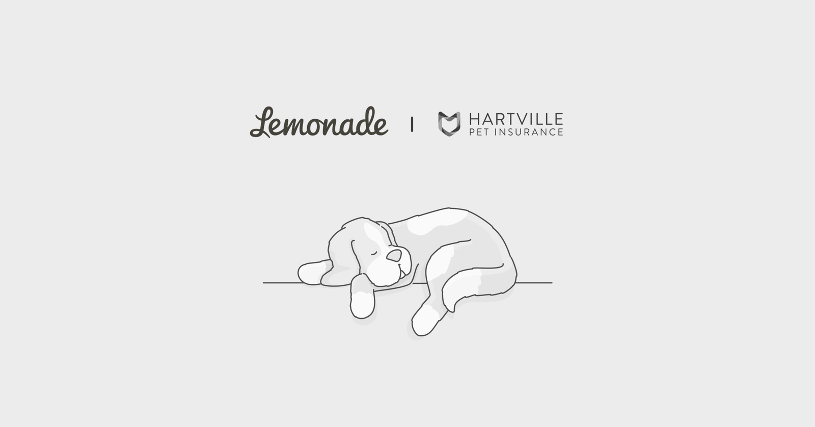 Lemonade Pet Insurance