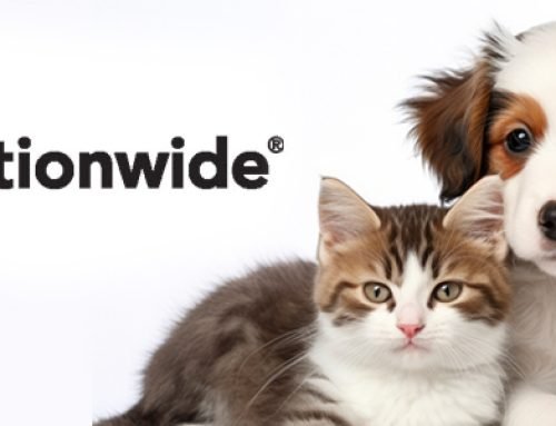 Nationwide Pet Insurance Review 2026 Plans, Costs & Cons