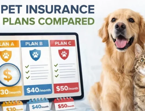 Best Pet Insurance California Top 2026 Provider Comparison