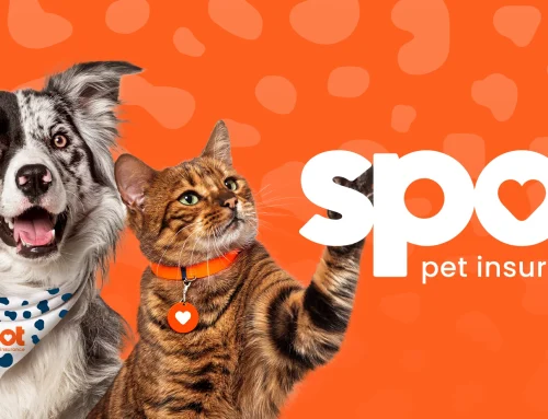 Spot Pet Insurance Review 2026 Costs & Coverage Explained