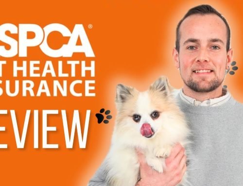 ASPCA Pet Insurance Reviews (2026) Pros, Cons & The Truth About Claims